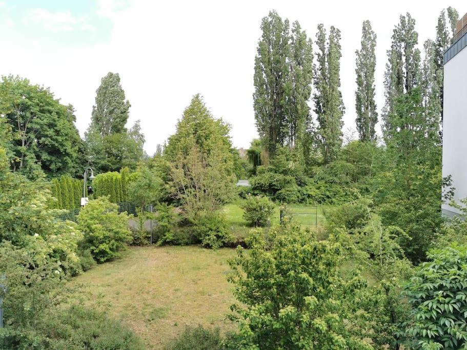 Schoene Und Ruhige Wohnung Direkt An Der Mosel コブレンツ エクステリア 写真