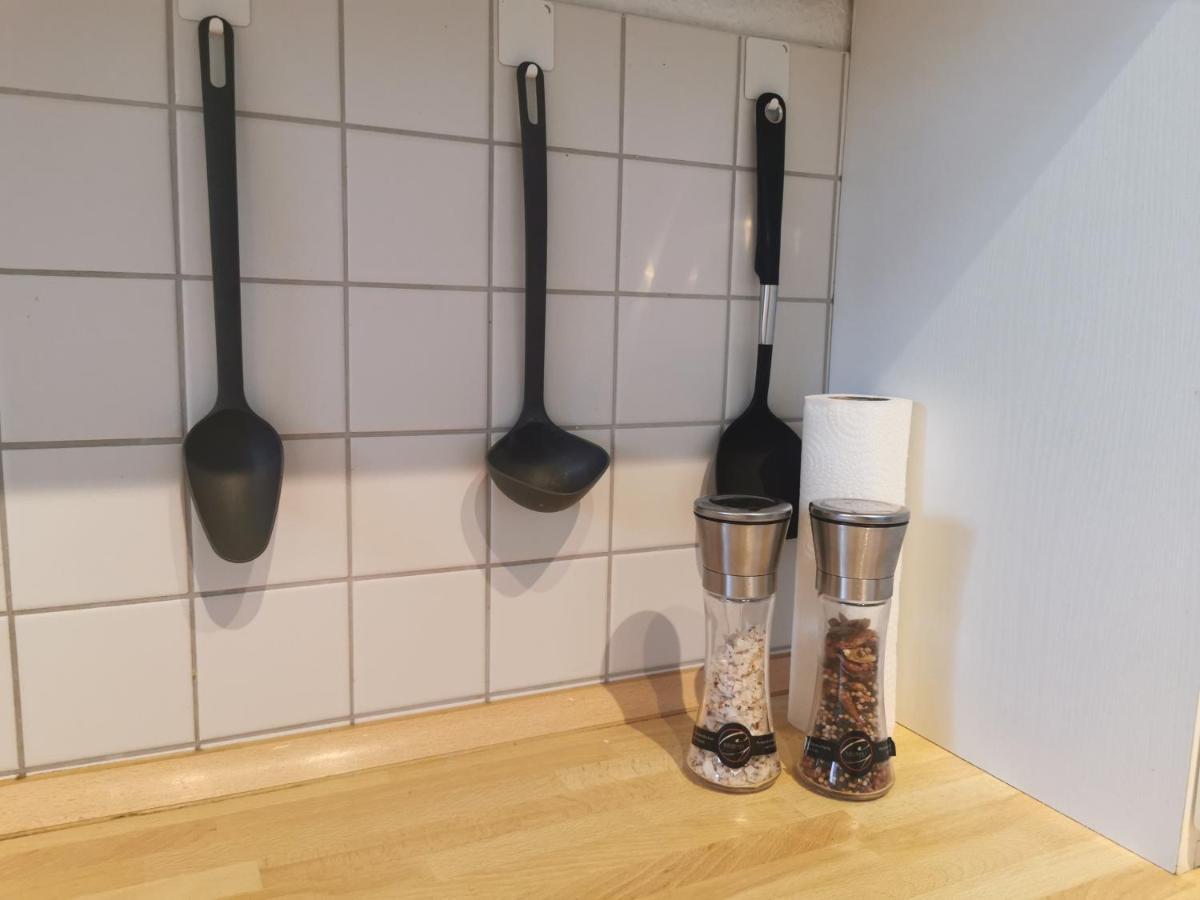 Schoene Und Ruhige Wohnung Direkt An Der Mosel コブレンツ エクステリア 写真
