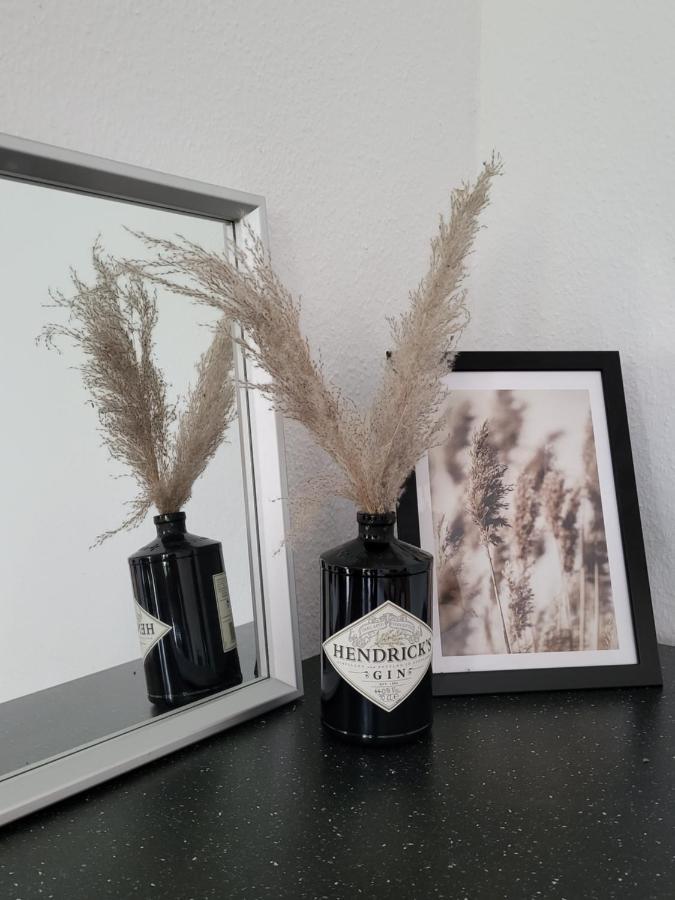 Schoene Und Ruhige Wohnung Direkt An Der Mosel コブレンツ エクステリア 写真